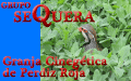 Grupo Sequera